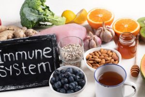 Probiotics – The Immune System Booster